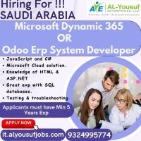 Saudi Jobs Want for IT Developer Programmer